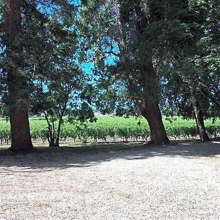 B&B L'orangerie De Camperos Barsac (Gironde)